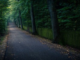 海子的诗经典句子：穿越时空的灵魂之美